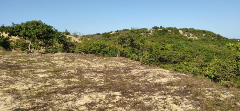 Imagem Terreno à Venda, 5.658 m²em Pajuçara - Natal