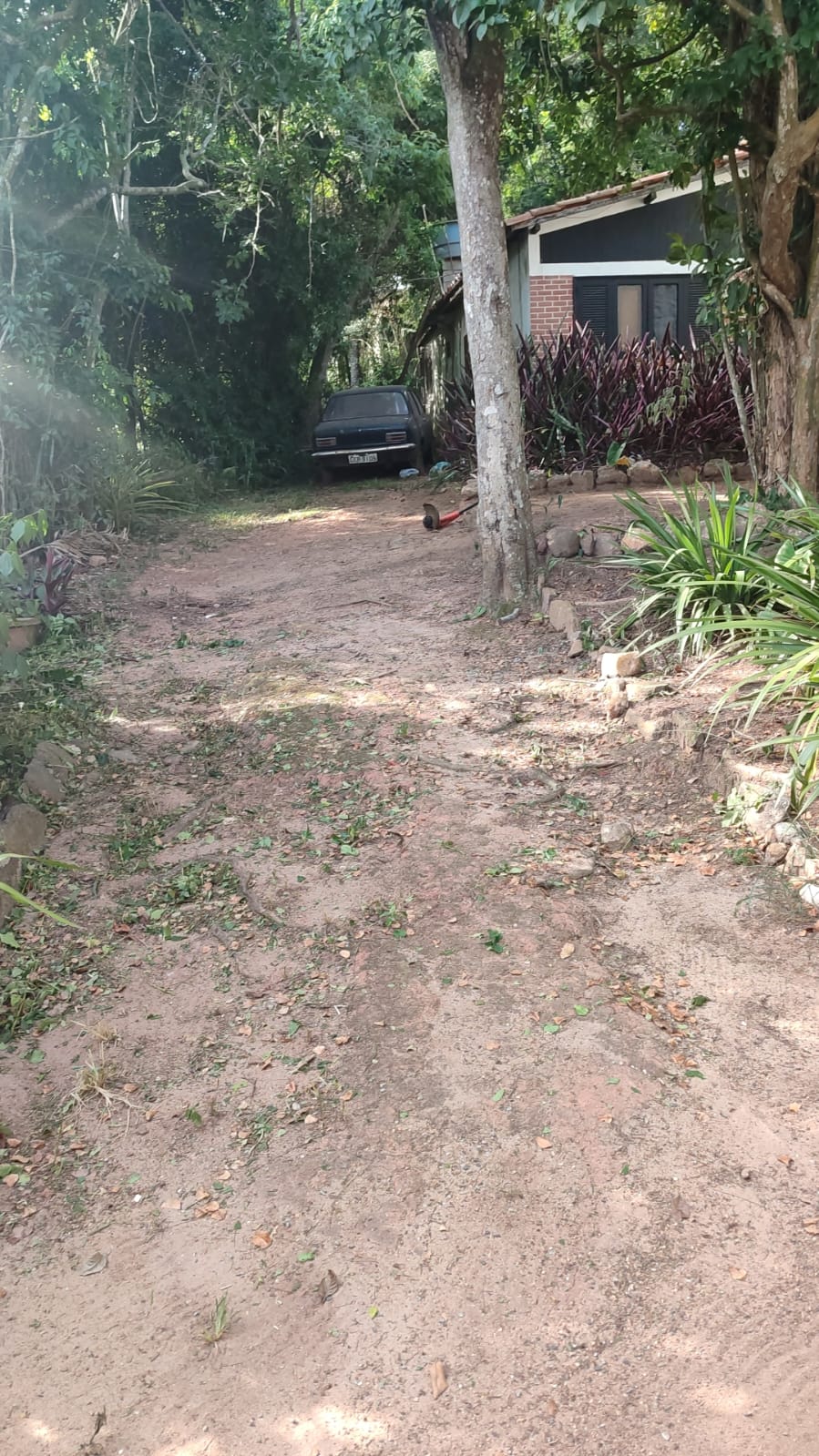 Imagem Terreno à Venda, 1.350 m² em Praia Rasa - Armação dos Búzios