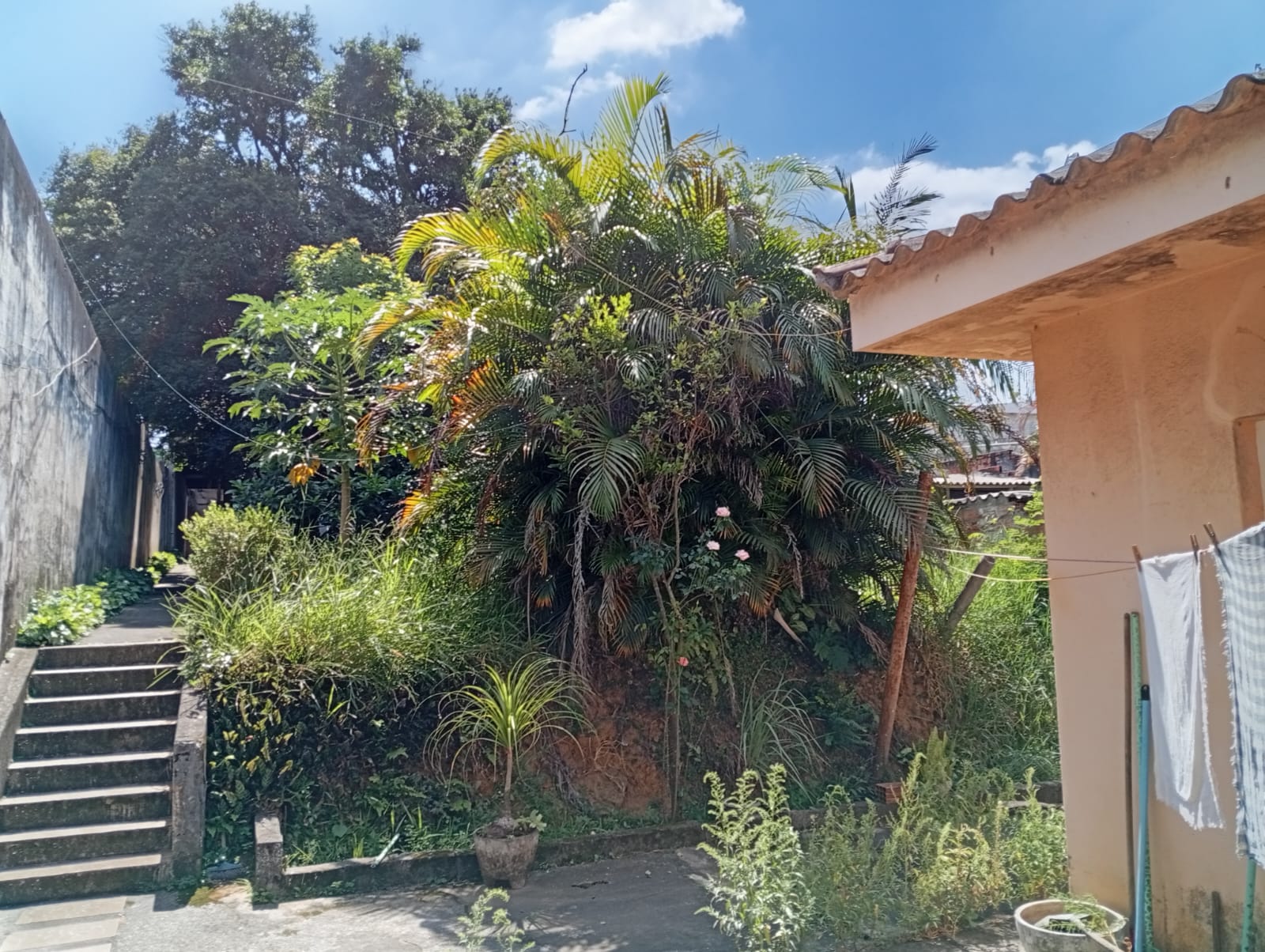 Imagem Terreno à Venda, 647 m² em Jardim Iracema - São Paulo Imagem Terreno à Venda, 647 m² em Jardim Iracema - São Paulo