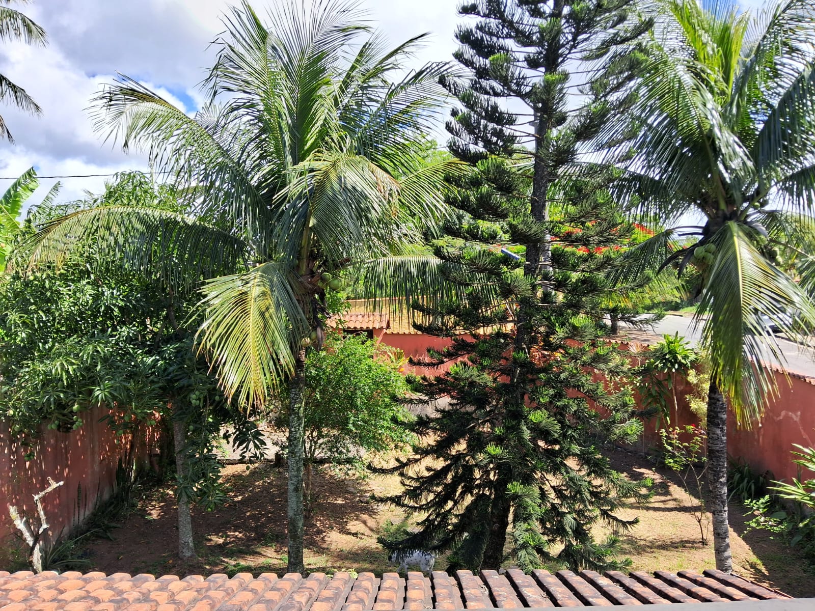 Imóvel