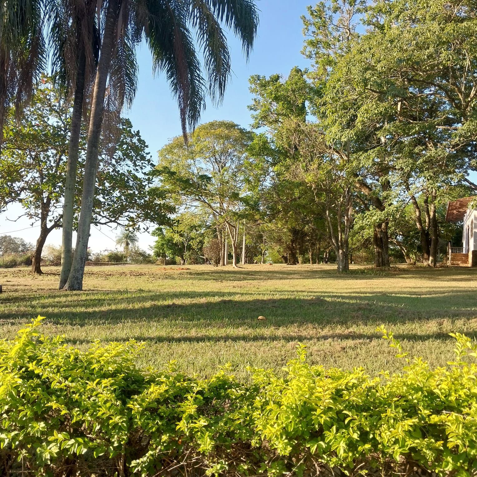 Imagem Terreno em Condomínio à Venda, 250 m²em Colinas do Castelo - Jaguariúna