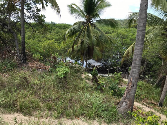 Imagem Terreno à Venda, 160.000 m² em Praia de Tamandaré - Tamandaré Imagem Terreno à Venda, 160.000 m² em Praia de Tamandaré - Tamandaré