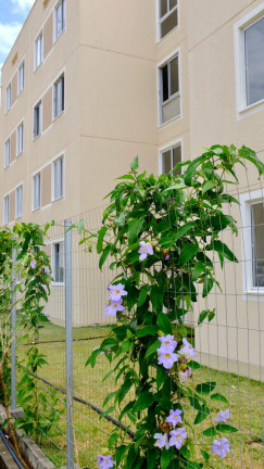 Imagem Apartamento com 2 Quartos à Venda, 42 m² em Jardins - São Gonçalo do Amarante Imagem Apartamento com 2 Quartos à Venda, 42 m² em Jardins - São Gonçalo do Amarante