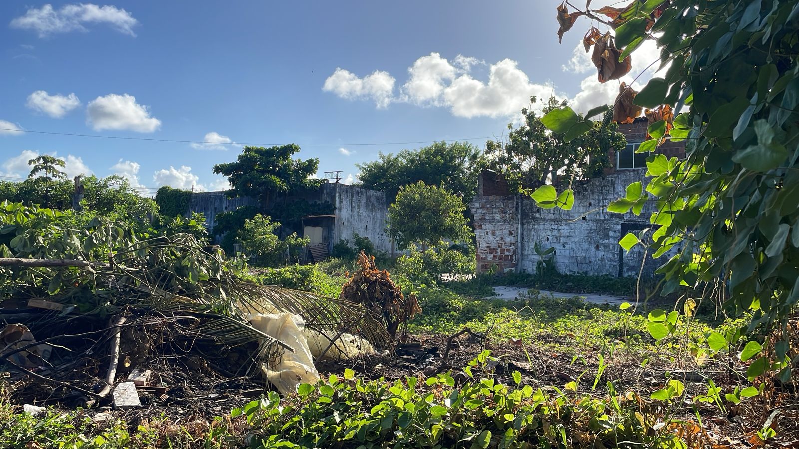 Imagem Terreno à Venda, 1.400 m² em Barra de Jangada - Jaboatão dos Guararapes