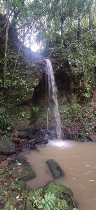 Terreno à Venda,  em Santaninha - Pedras Grandes