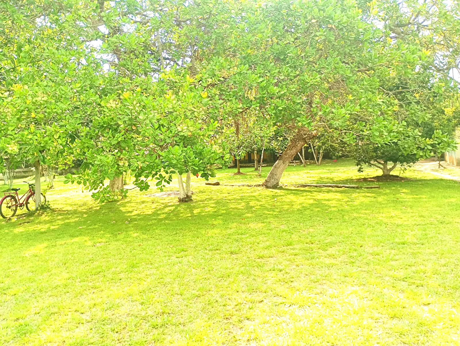 Imagem Chácara com 3 Quartos à Venda, 15 m²em Pau Darco - Santa Bárbara do Pará Imagem Chácara com 3 Quartos à Venda, 15 m²em Pau Darco - Santa Bárbara do Pará