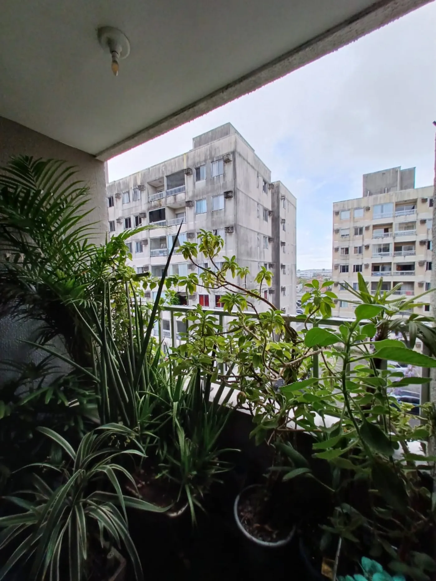 Imagem Apartamento com 3 Quartos à Venda, 60 m²em Piedade - Jaboatão dos Guararapes