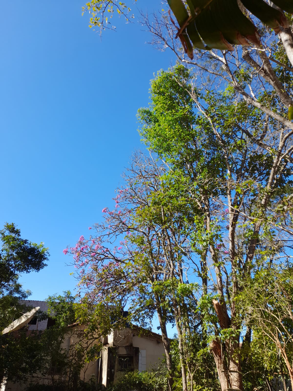 Imagem Terreno à Venda, 1.350 m² em Praia Rasa - Armação dos Búzios