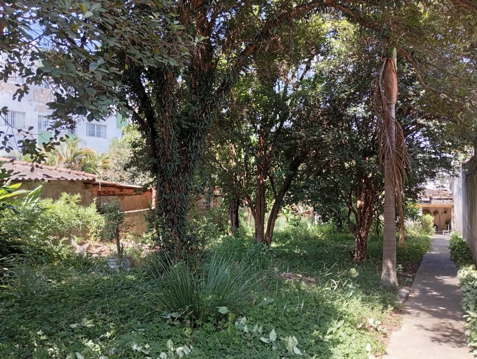 Imagem Terreno à Venda, 647 m² em Jardim Iracema - São Paulo Imagem Terreno à Venda, 647 m² em Jardim Iracema - São Paulo