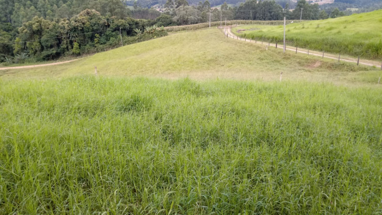 Imagem Terreno à Venda,  em Barracão - Orleans