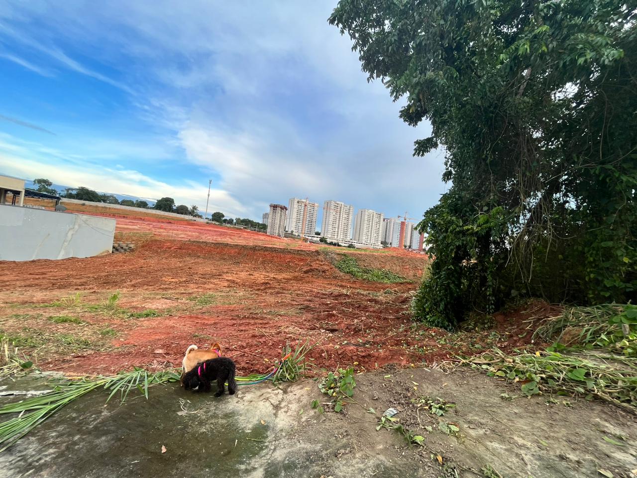 Imagem Terreno à Venda, 312 m²em Ponta Negra - Manaus Imagem Terreno à Venda, 312 m²em Ponta Negra - Manaus