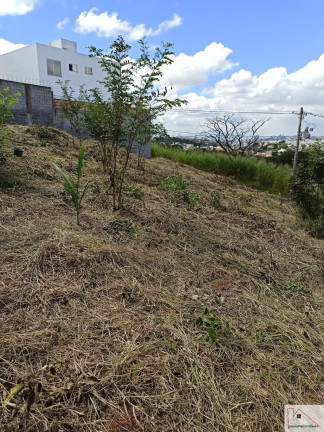 Imagem Terreno à Venda, 2.162 m² em Chácaras Cotia - Contagem