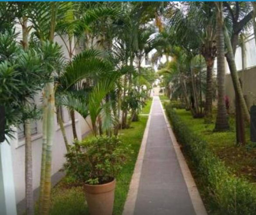 Imagem Apartamento com 2 Quartos à Venda, 44 m² em Jardim Santa Terezinha (Zona Leste) - São Paulo Imagem Apartamento com 2 Quartos à Venda, 44 m² em Jardim Santa Terezinha (Zona Leste) - São Paulo