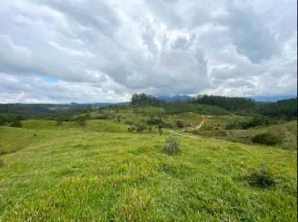 Imagem Fazenda à Venda, 34 HAem Brusque do Sul - Orleans