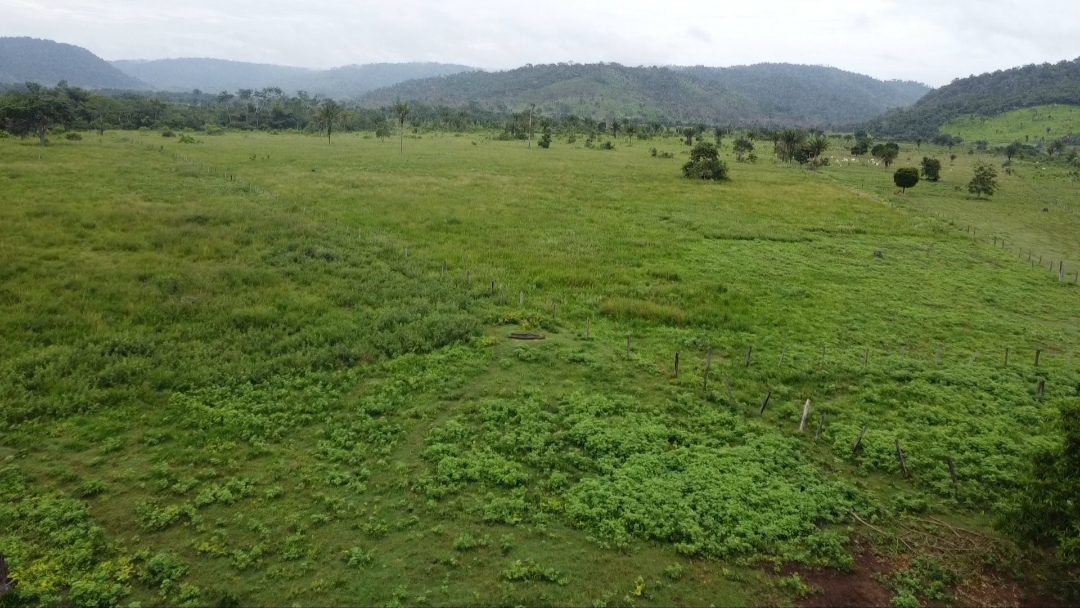Imagem Fazenda à Venda, 90 m²em Centro - São Félix do Xingu Imagem Fazenda à Venda, 90 m²em Centro - São Félix do Xingu