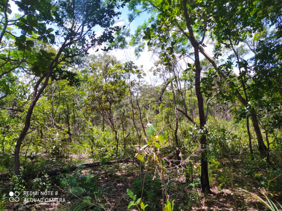 Imagem Fazenda à Venda,  em Mirador/ma - Mirador