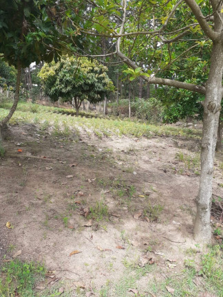 Imagem Chácara com 2 Quartos à Venda, Locação ou Temporada, 100 m² em Ribeirão grande - Piedade Imagem Chácara com 2 Quartos à Venda, Locação ou Temporada, 100 m² em Ribeirão grande - Piedade