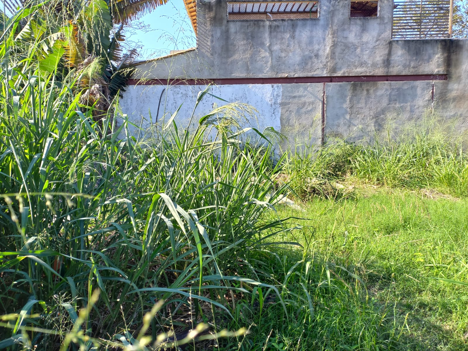 Imagem Terreno à Venda, 180 m²em Piratininga - Niterói