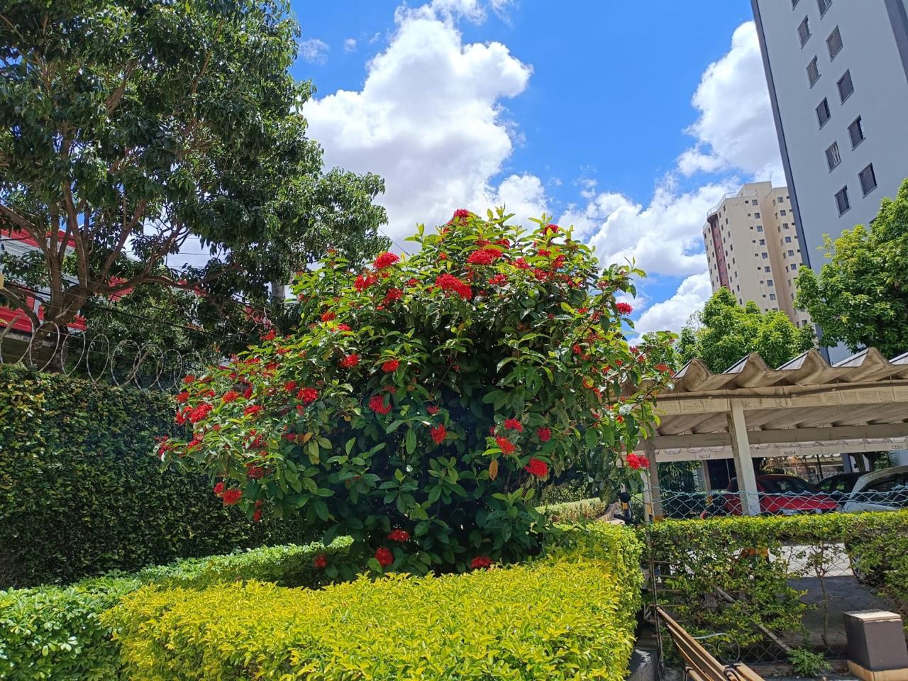 Imagem Apartamento com 2 Quartos à Venda, 61 m² em Jardim Papai Noel - São Paulo Imagem Apartamento com 2 Quartos à Venda, 61 m² em Jardim Papai Noel - São Paulo
