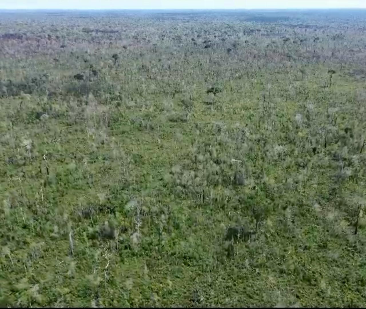 Imagem Fazenda à Venda, 1 HAem Área Rural de Santarém - Santarém Imagem Fazenda à Venda, 1 HAem Área Rural de Santarém - Santarém
