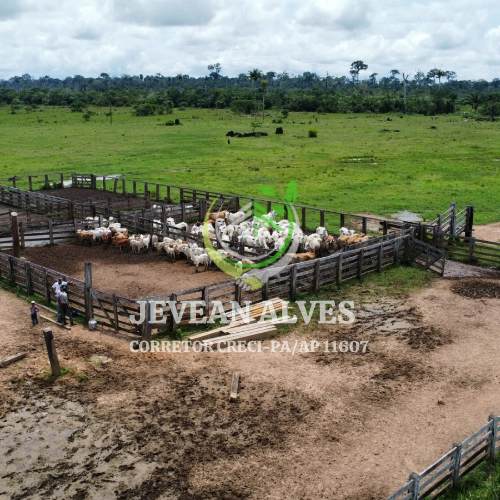 Imagem Fazenda à Venda, 4 m²em Centro - São Félix do Xingu Imagem Fazenda à Venda, 4 m²em Centro - São Félix do Xingu