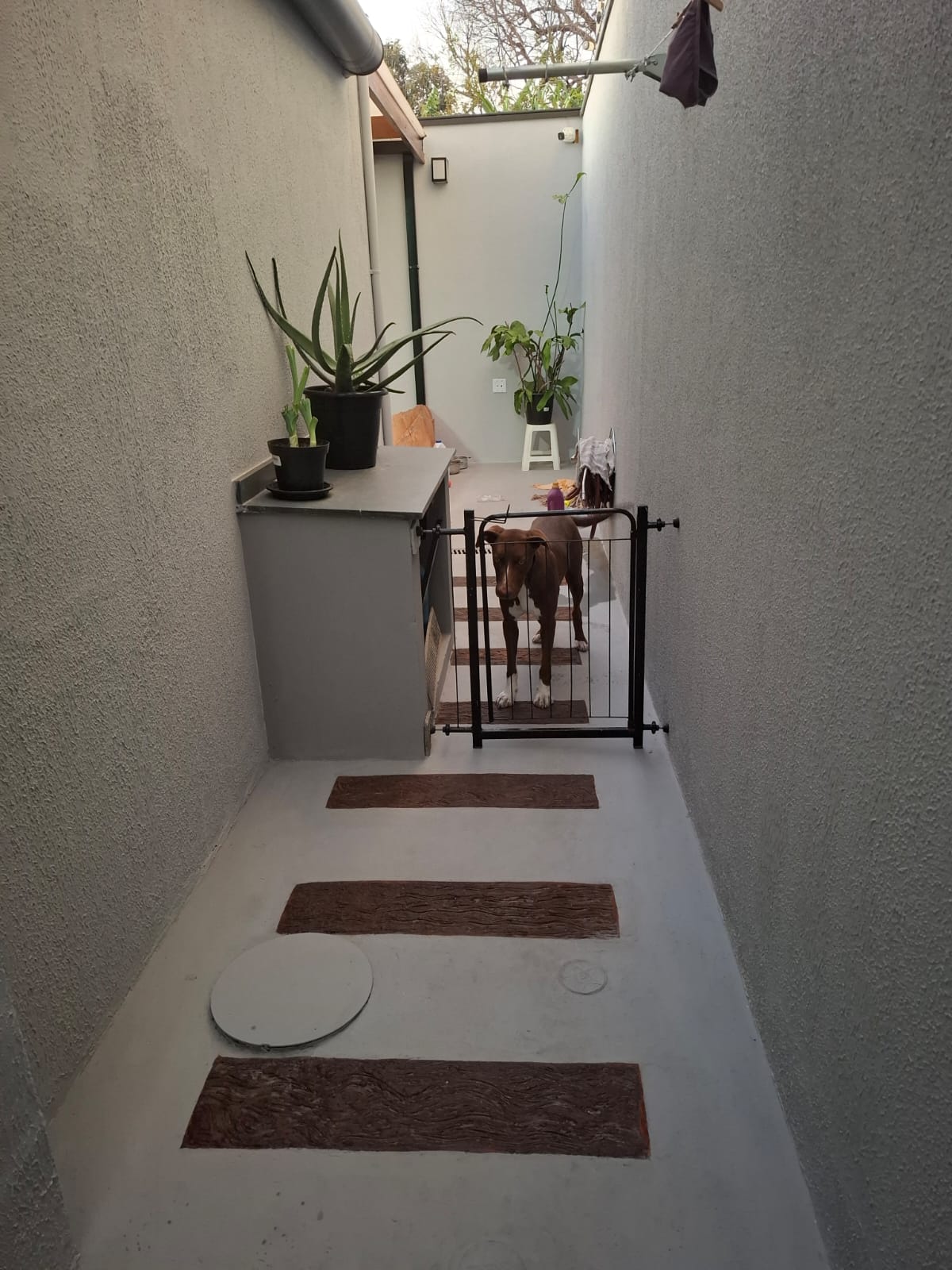 Imagem Sobrado com 3 Quartos à Venda, 250 m²em Residencial Cittá di Firenze - Campinas Imagem Sobrado com 3 Quartos à Venda, 250 m²em Residencial Cittá di Firenze - Campinas