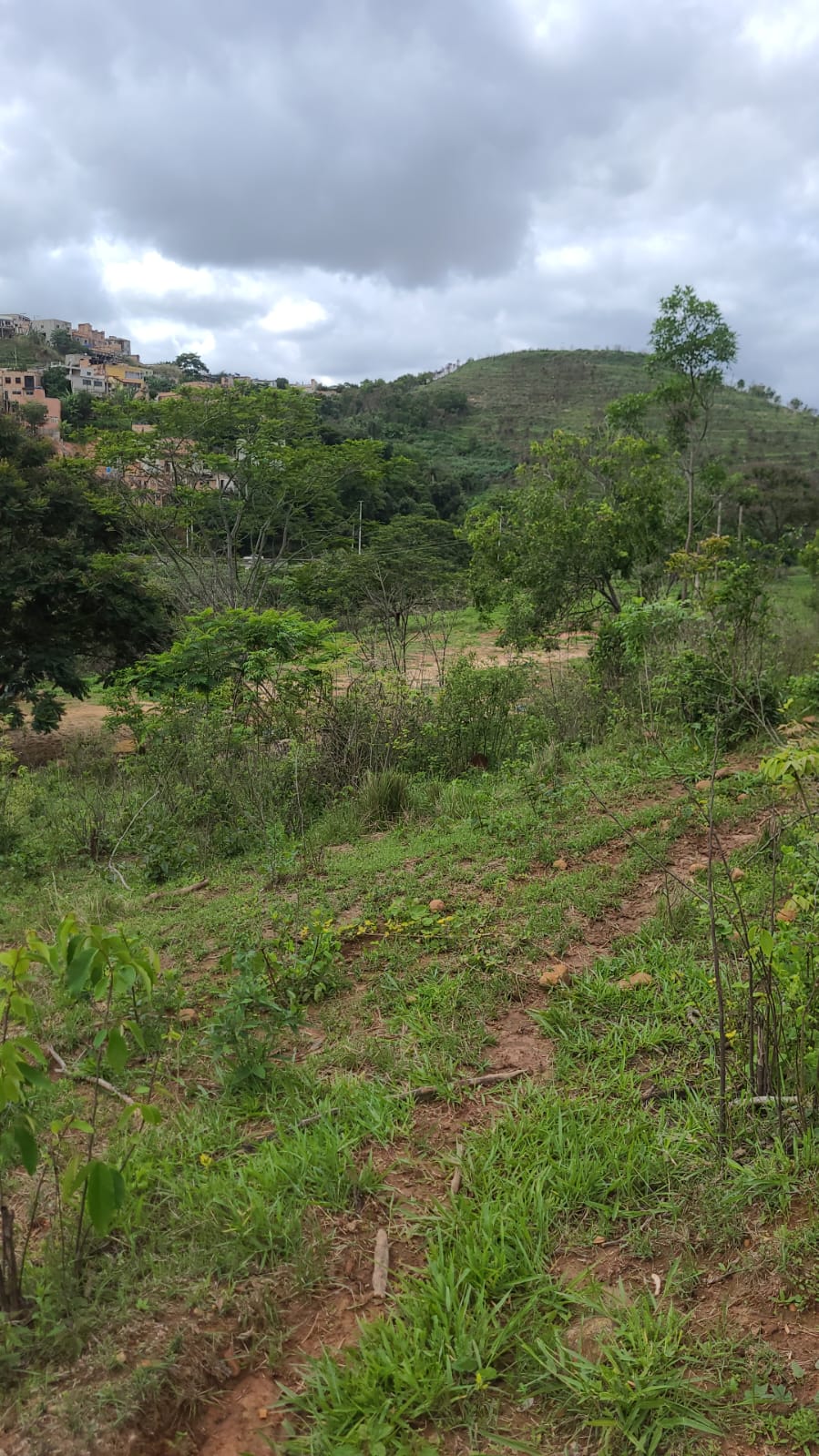Imagem Terreno à Venda, 21.800 metro em Guadalajara (Justinópolis) - Ribeirão das Neves Imagem Terreno à Venda, 21.800 metro em Guadalajara (Justinópolis) - Ribeirão das Neves