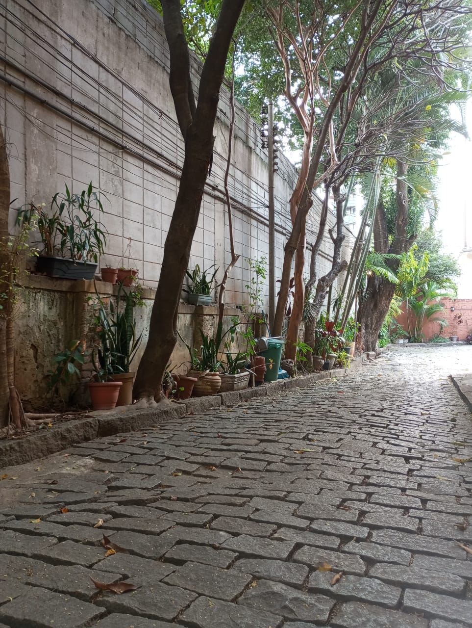 Imagem Sobrado com 3 Quartos para Alugar, 135 m²em Indianópolis - São Paulo