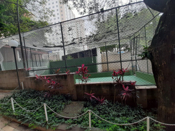 Imagem Apartamento com 3 Quartos à Venda, 58 m² em Parque Munhoz - São Paulo Imagem Apartamento com 3 Quartos à Venda, 58 m² em Parque Munhoz - São Paulo