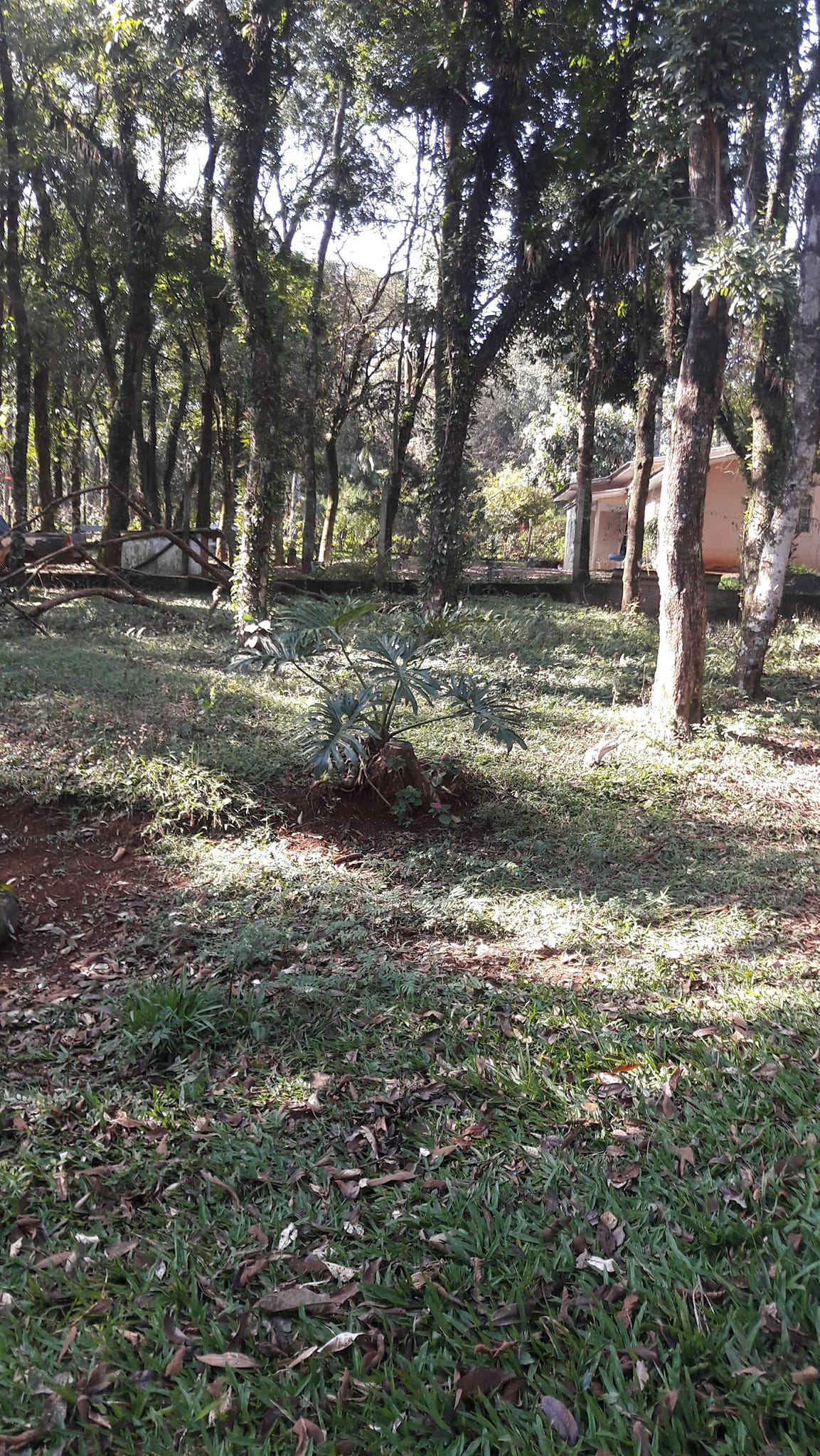 Imagem Terreno à Venda, 3 m²em Efapi - Chapecó