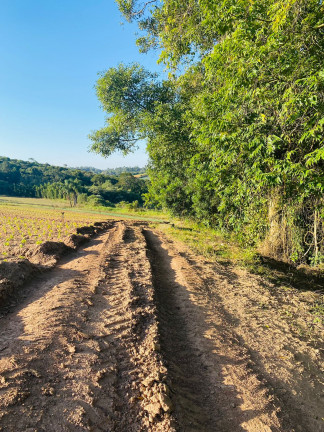 Imagem Terreno em Condomínio à Venda, 500 m² em DONA CATARINA - Mairinque Imagem Terreno em Condomínio à Venda, 500 m² em DONA CATARINA - Mairinque