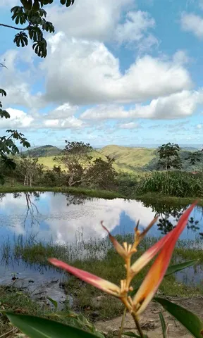 Imagem Chácara com 2 Quartos à Venda, 15 m²em BONITO - Bonito Imagem Chácara com 2 Quartos à Venda, 15 m²em BONITO - Bonito