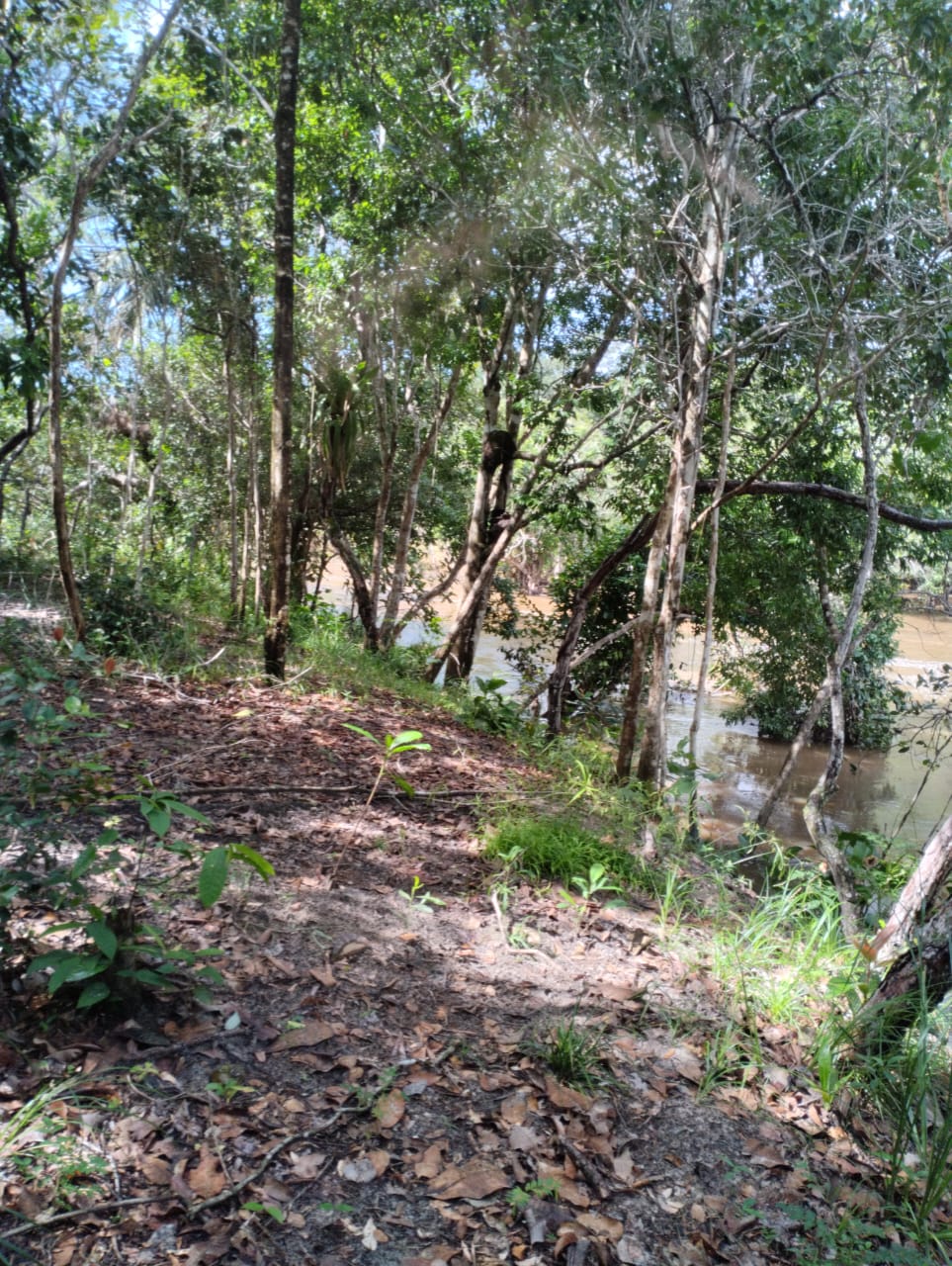 Imagem Terreno à Venda, 3.000 m² em Entre Rios - Entre Rios