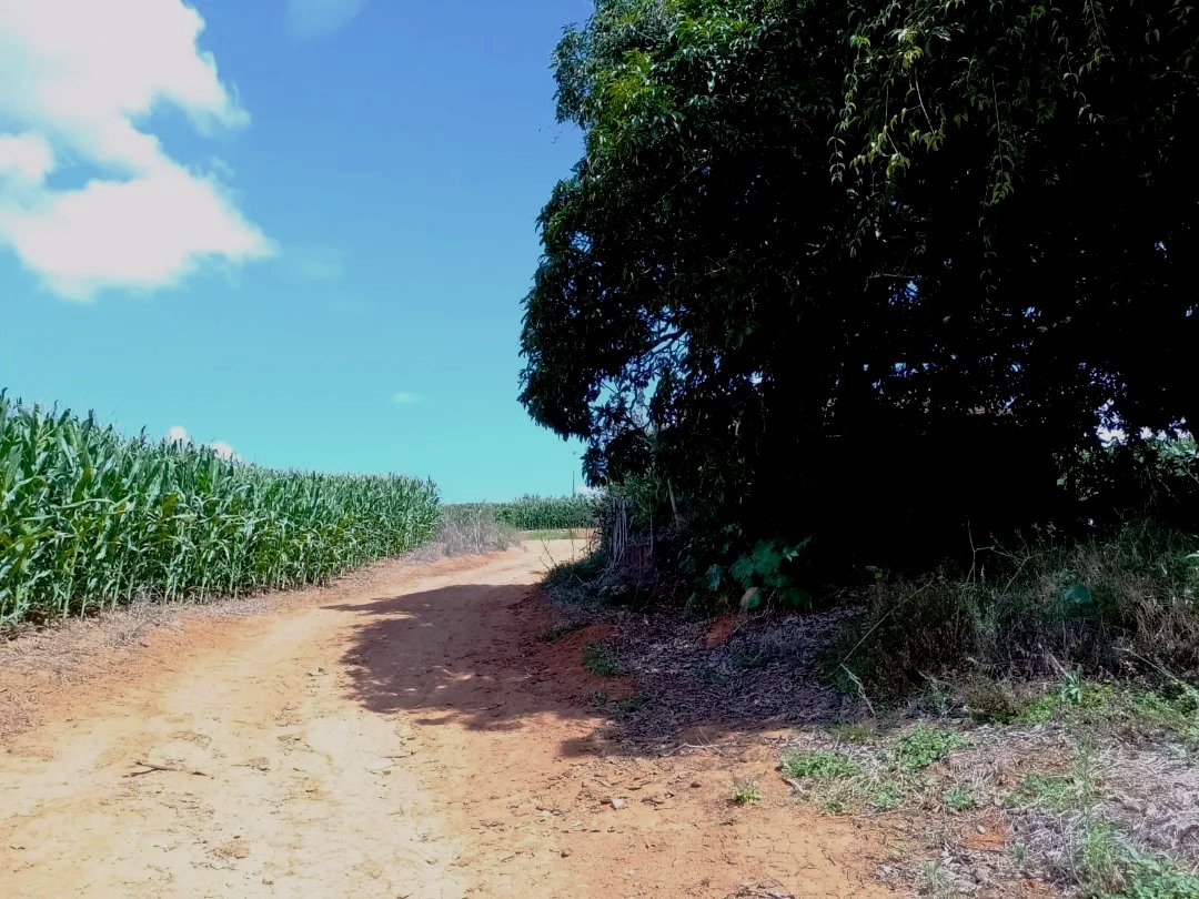 Imagem Fazenda à Venda, 113 Alq SPem Zona Rural - Guapé Imagem Fazenda à Venda, 113 Alq SPem Zona Rural - Guapé