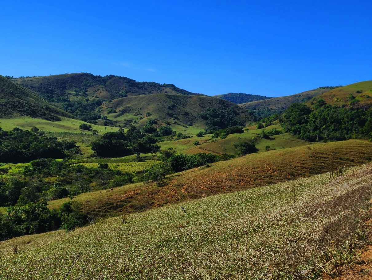Imagem Fazenda à Venda, 459.000 HA em Área Rural de Valença - Valença