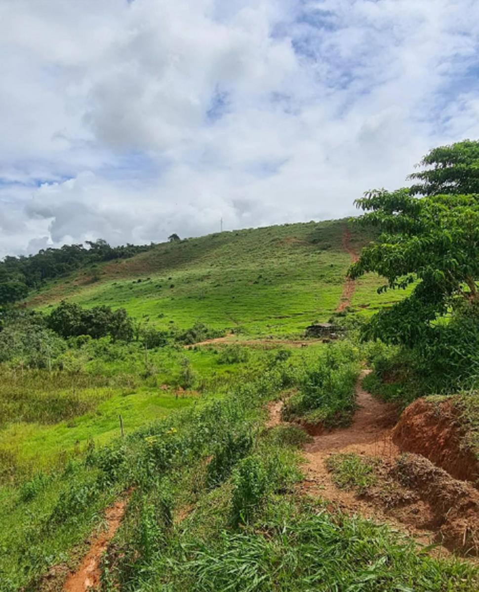 Imagem Chácara com 3 Quartos à Venda, 62.000 m² em Centro - Rio Casca Imagem Chácara com 3 Quartos à Venda, 62.000 m² em Centro - Rio Casca