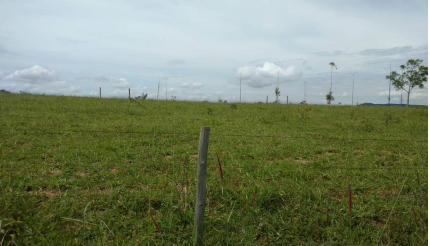 Imagem Fazenda à Venda, 8 Alq GOem Zona Rural - Silvânia