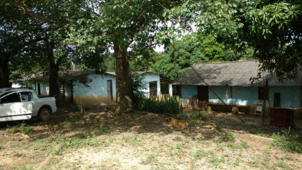 Imagem Fazenda à Venda, 8 Alq GOem Zona Rural - Silvânia