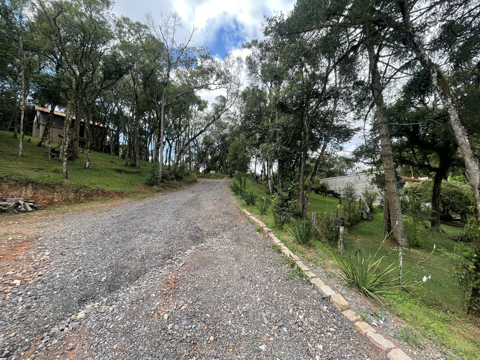 Imagem Chácara com 3 Quartos à Venda, 6.800 m² em Salgadinho - Campo Largo