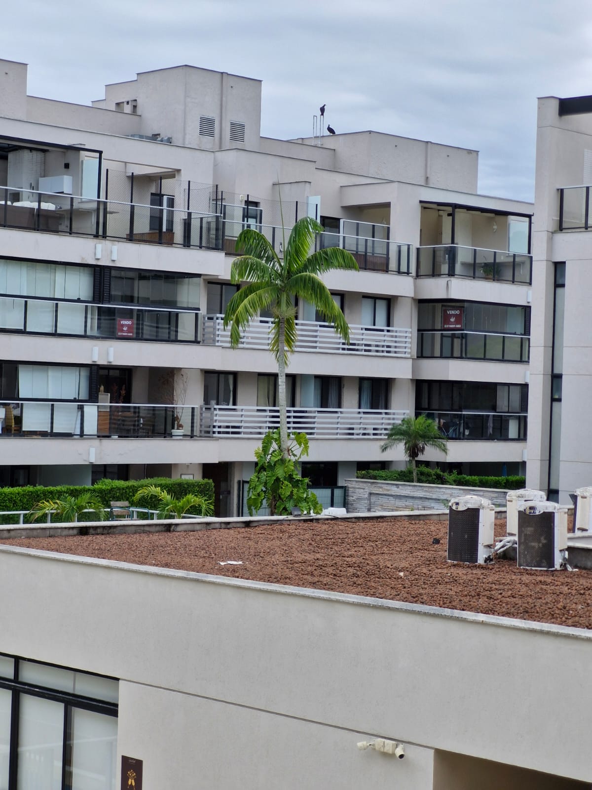 Imagem Apartamento com 2 Quartos à Venda, 71 m² em Recreio dos Bandeirantes - Rio de Janeiro Imagem Apartamento com 2 Quartos à Venda, 71 m² em Recreio dos Bandeirantes - Rio de Janeiro