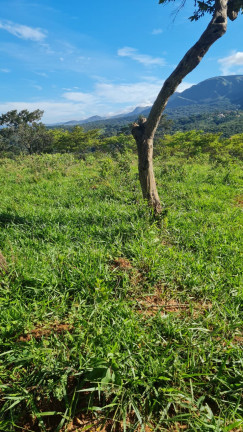 Imagem Terreno à Venda, 2.000 m² em Carneiros  - Brumadinho