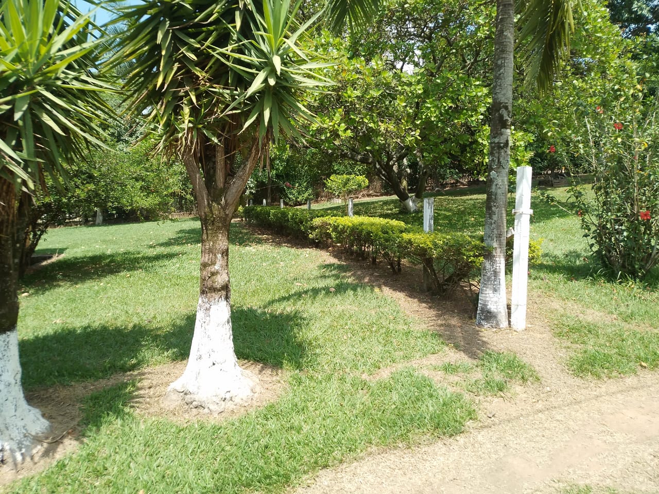Imagem Chácara com 2 Quartos à Venda, 20 m²em Distrito Industrial - Jundiaí