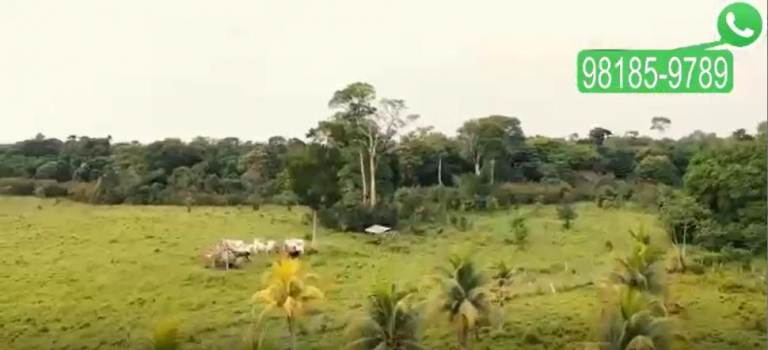 Imagem Imóvel com 9 Quartos à Venda, 50.800 m² em GENIPAUBA - Santa Bárbara do Pará