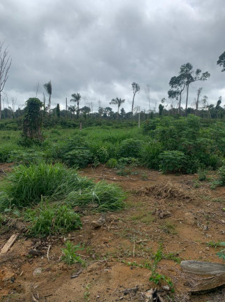 Imagem Fazenda à Venda, 837 HA em Área Rural de Santarém - Santarém Imagem Fazenda à Venda, 837 HA em Área Rural de Santarém - Santarém
