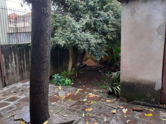 Imagem Casa com 1 Quarto à Venda, 85 m² em Cristo Redentor - Porto Alegre