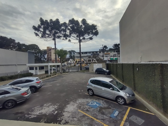 Imagem Apartamento com 3 Quartos à Venda, 80 m² em Cabral - Curitiba