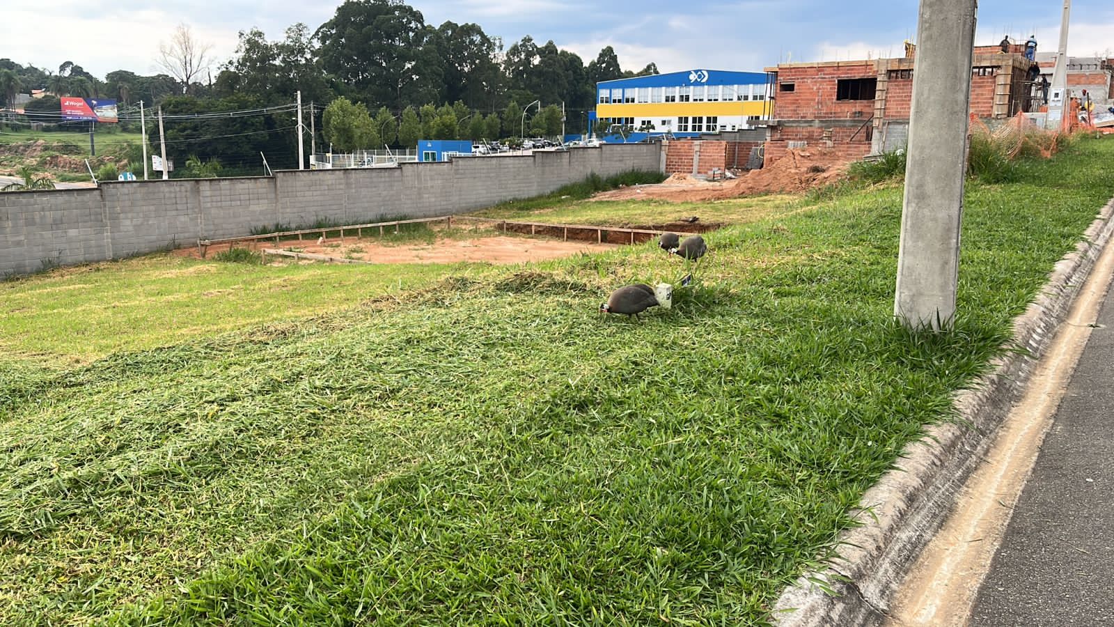 Imagem Terreno em Condomínio à Venda, 300 m²em Jardim Primavera - Itupeva Imagem Terreno em Condomínio à Venda, 300 m²em Jardim Primavera - Itupeva
