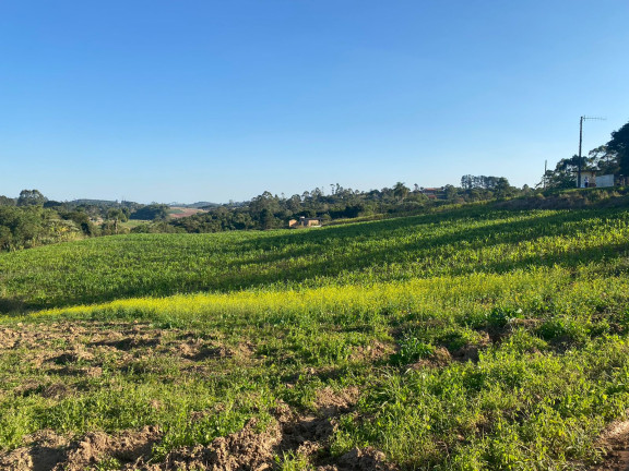 Imagem Terreno à Venda, 1.000 m² em Jardim Primavera - Salto de Pirapora Imagem Terreno à Venda, 1.000 m² em Jardim Primavera - Salto de Pirapora