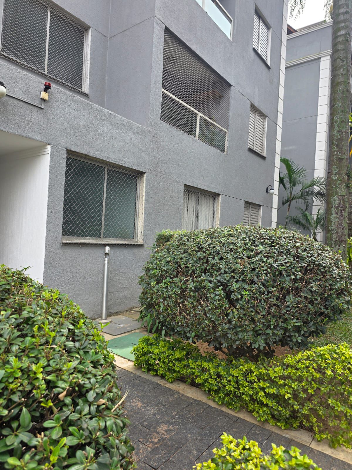 Imagem Apartamento com 2 Quartos à Venda, 51 m² em Santa Terezinha - Santo André