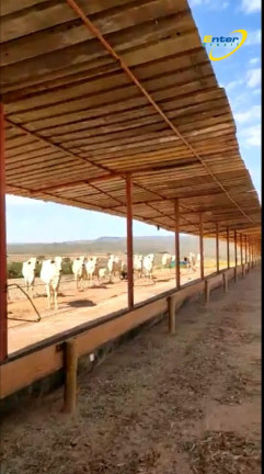 Imagem Fazenda à Venda, 297 HAem Paranoá - Brasília